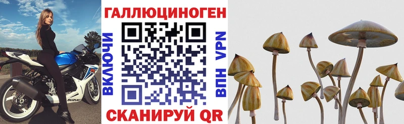 Псилоцибиновые грибы Cubensis  Архангельск 